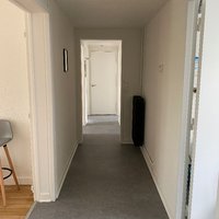 rénovation de  couloir